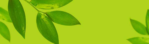Encart-Polyphenol