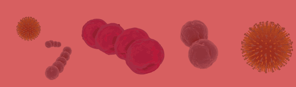 Virus et Bacteries Icone-05 Virus Bactérie Infection respiratoire